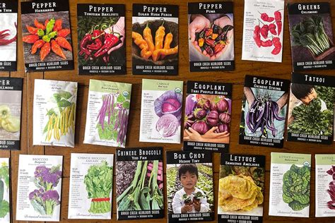 The online seed.